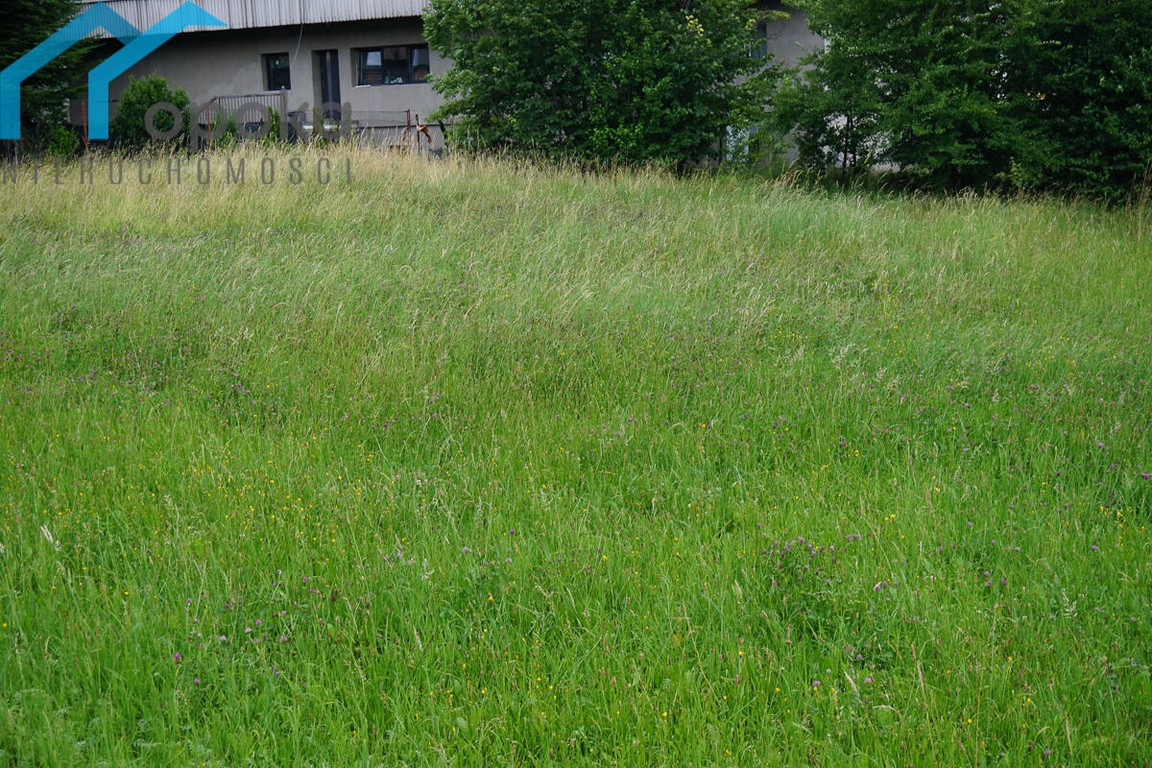Duża działka budowlana w Goleszowie - Widok 6