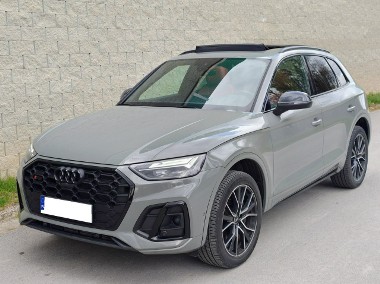 Audi SQ5 I (8R)-1