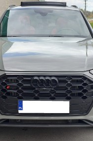 Audi SQ5 I (8R)-2