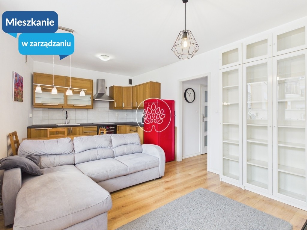 Mieszkanie na wynajem, 51 m² Bielawy, Jastrzębia