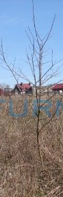 Działka rolna Stobno, ul. Malinowa-4