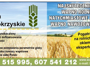 Wapno nawozowe Weglanowe JURA 56% magnezowe, Tlenkowe, Rolnicze -Najtaniej !!!-1