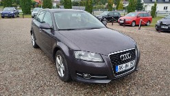 Audi A3 II (8P) 5 Drzwi, Bezwypadkowy, Potwierdzony Przebieg, RATY.