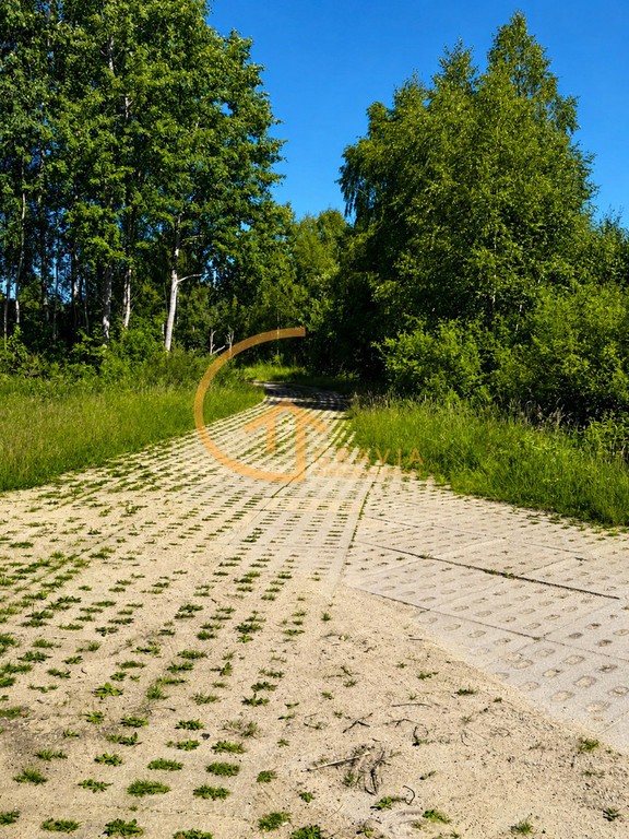 Budowlana działka z lasem - Nowy Dwór Wejherowski - Widok 2