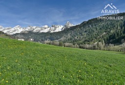 Działka inna Le Grand-Bornand