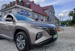 Hyundai Tucson III Zarejestrowany