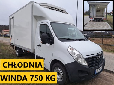 Chłodnia Mitsubishi Winda 750Kg Dozór UDT 2027r Automat -1