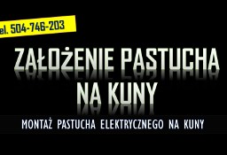 Założenie pastucha na kuny. Zamontowanie na domu elektrycznego zabezpieczenia.