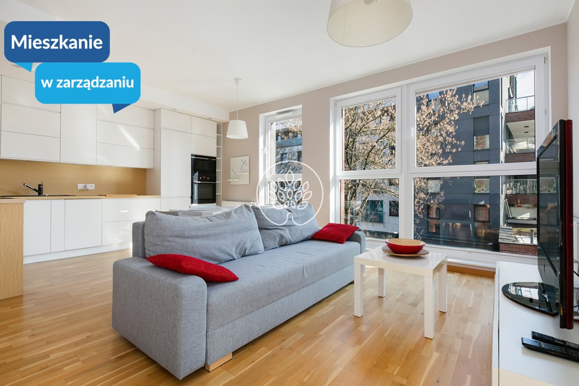 Mieszkanie na wynajem, 50 m² Bielawy, Jana Karola Chodkiewicza
