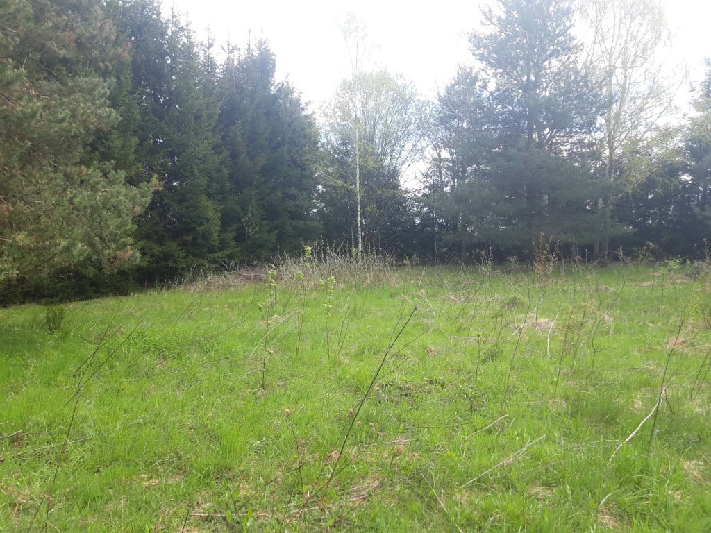 działka budowlana - prąd, gaz, woda w drodze Gminnej przed działką - Widok 2
