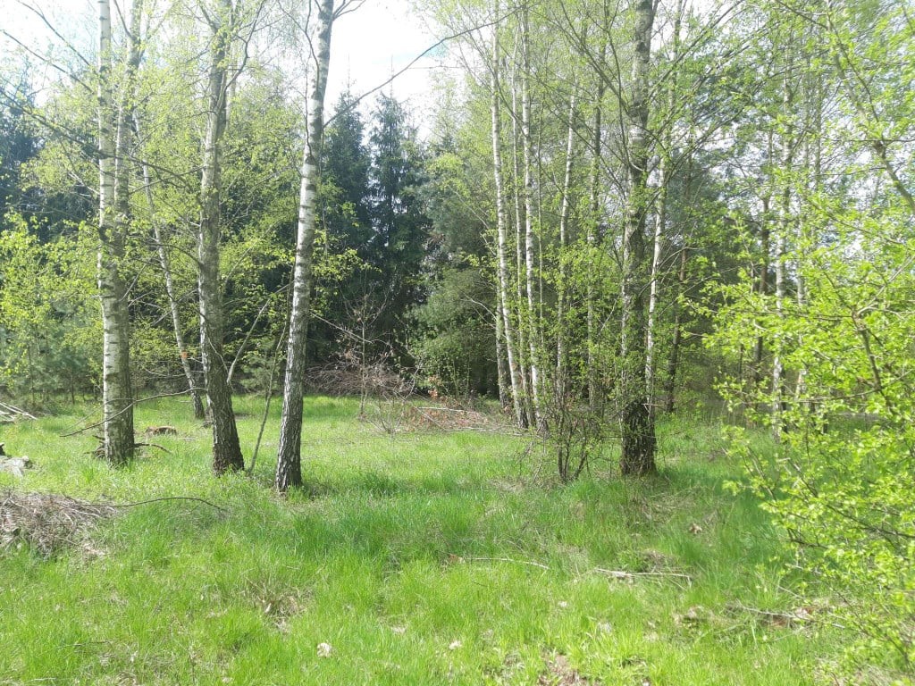 działka budowlana - prąd, gaz, woda w drodze Gminnej przed działką - Widok 3