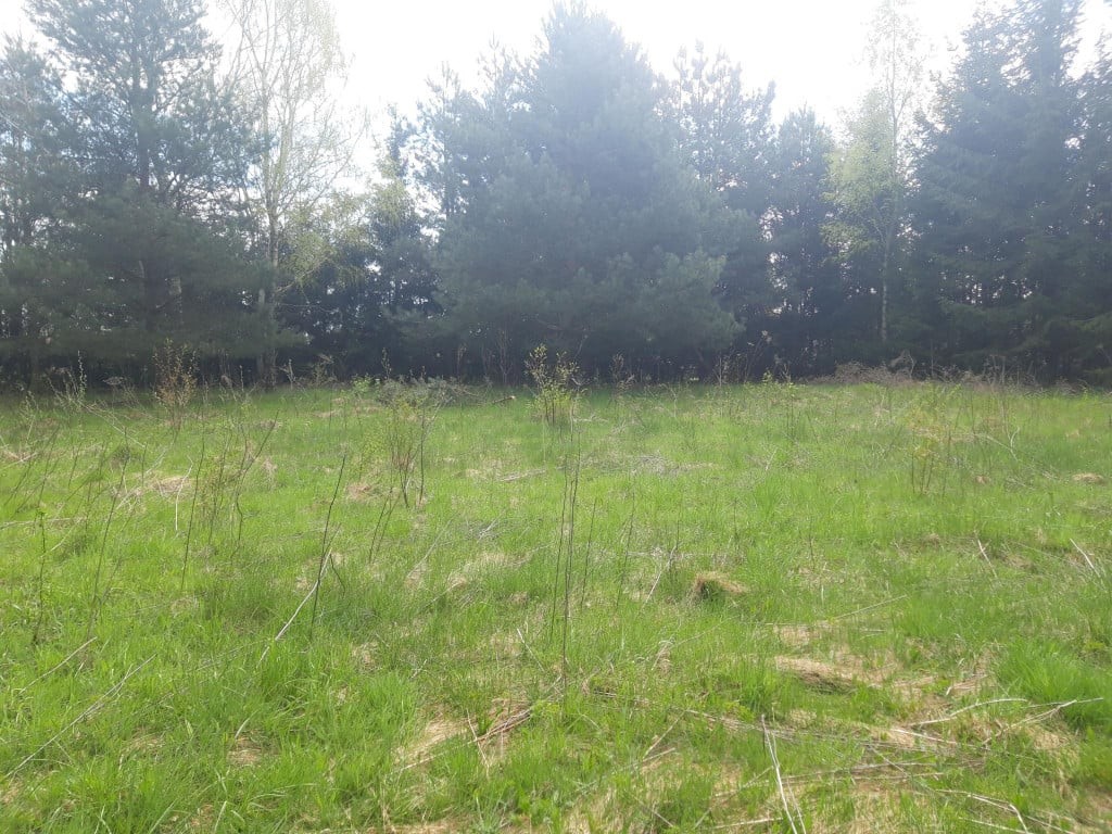 działka budowlana - prąd, gaz, woda w drodze Gminnej przed działką - Widok 5