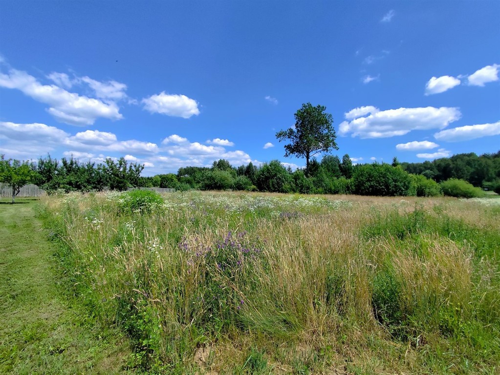 Atrakcyjne działki 5000 m² i 7000 m², białostocki