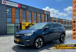 Opel Grandland X 1.2 130KM ,Krajowy, Serwisowany ASO ,Bezwypadkowy