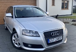 Audi A3 II (8P) zarejestrowany /alu / klimatronic