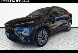 Inna Inny LUXURY mały przebieg, gwarancja fabryczna, duży zasięg. max wersja