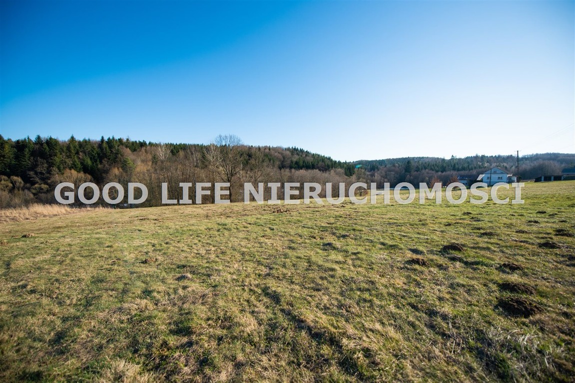Widokowa działka z WZ, 15ar, Straszydle - Widok 4