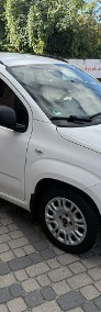 Fiat Panda III 1,2 69KM Klimatyzacja 1Właściciel-4