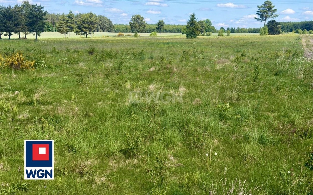 Działka na sprzedaż, 1647 m², Borzytuchom Jutrzenka - Widok 5
