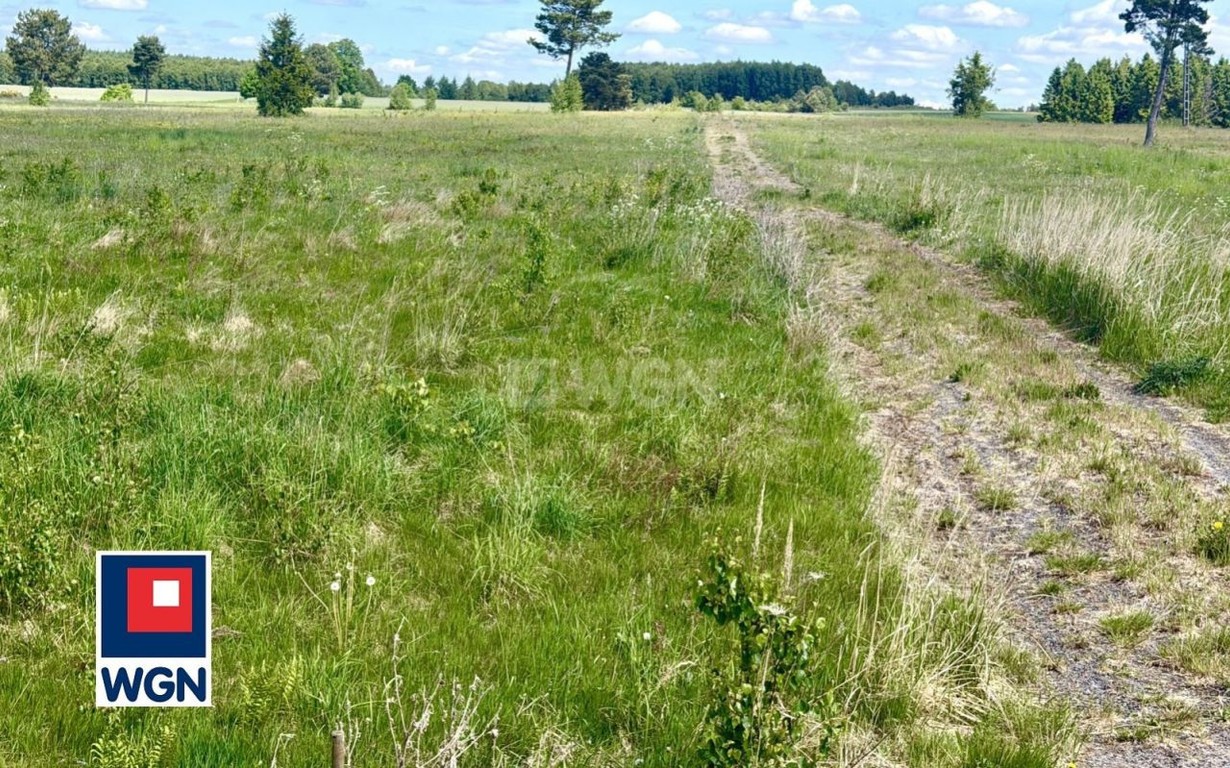 Działka na sprzedaż, 1647 m², Borzytuchom Jutrzenka - Więcej