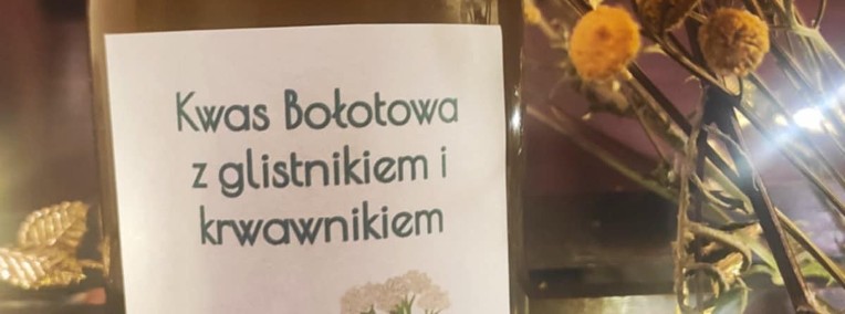 zakwas Bołotowa - woda carska z glistnikiem i krwawnikiem - 2x500 ml-1