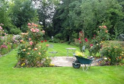 Usługi ogrodnicze - projektowanie ogrodów