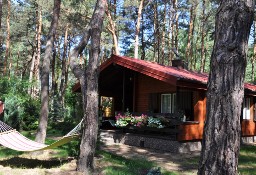 Uroczy domek na działce leśnej blisko Zegrza
