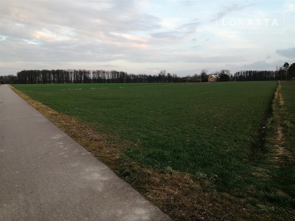 NOWE WROŃSKA, GMINA ZAŁUSKI., płoński
