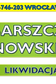 Usuwanie barszczu Sosnowskiego, tel.  zwalczanie, cennik, Wrocław, likwidacja.-2