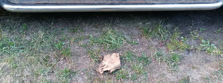 Stopnie orurowania Nissan Terano 2.7 tdi lift 2003 rok -1