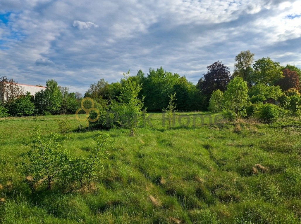 Duża działka budowlana w Wymiarkach. - Widok 5