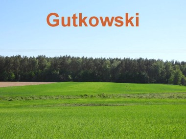 Działka rolna w Ławicach gmina Iława.-1