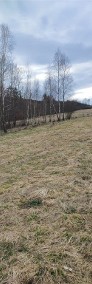 Widokowa działka rolna w Gilowicach-3