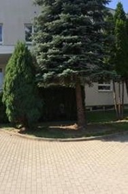 Lokal Niegoszowice-2