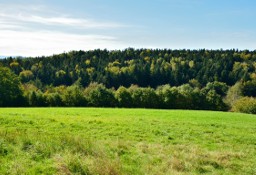 Działka budowlana Gruszów