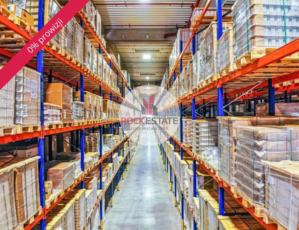 Magazyn 5000 m² Jasin - od zaraz - 0% prowizji - Widok 5