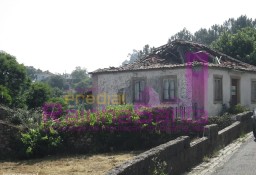 Dom Figueiró Dos Vinhos E Bairradas