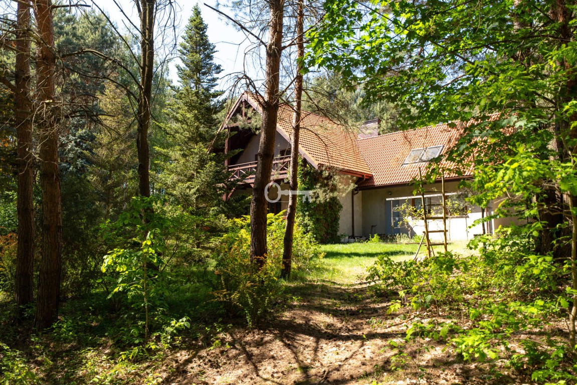 Siedlisko z własną rzeczką | Mazury koło Łodzi - Widok 4