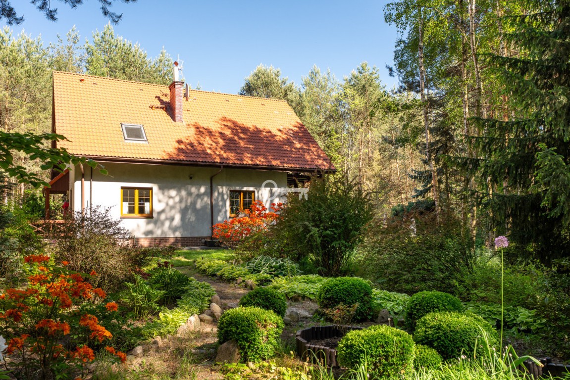 Siedlisko z własną rzeczką | Mazury koło Łodzi - Widok 5