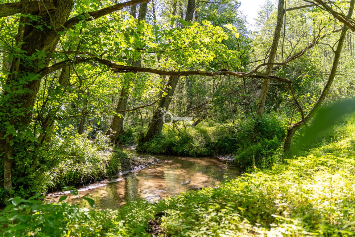 Siedlisko z własną rzeczką | Mazury koło Łodzi - Więcej