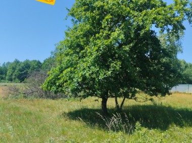 Płaska działka na sprzedaż Przeginia Narodowa-1