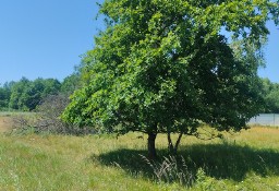 Działka siedliskowa Czernichów