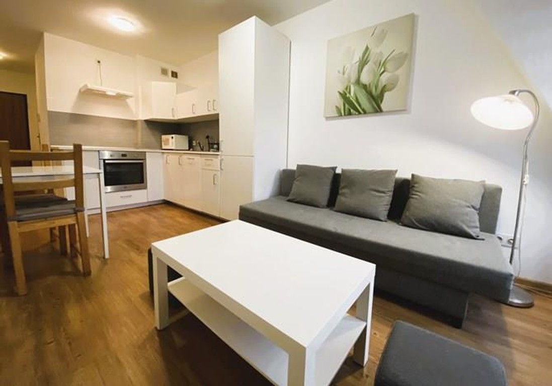 Mieszkanie na wynajem, 31 m² Poznań, Stefana Czarnieckiego