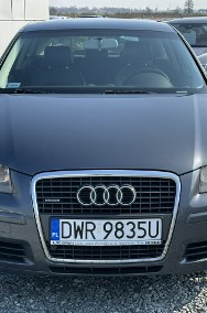 Audi A3 II (8P) Audi A3 8P 3.2 VR6 24V Quattro DSG 250KM 2005-2