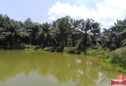 Działka inna Khao Lak