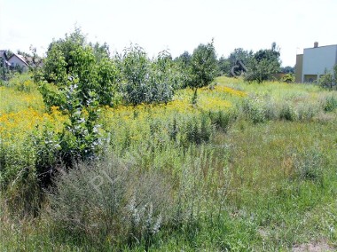 Działka usługowa Stary Janków-1