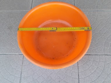 Mała plastikowa miednica, pomarańczowa, średnica ok. 35 cm,-1