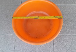 Mała plastikowa miednica, pomarańczowa, średnica ok. 35 cm,