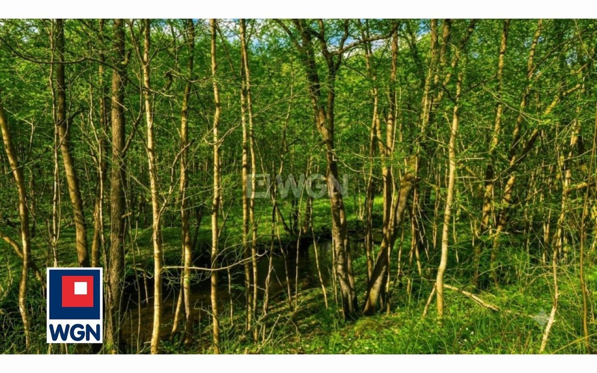 Działka na sprzedaż, 1232 m², Dębnica Kaszubska Dębnica Kaszubska – pohled 2