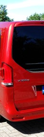 V300d 4matic z windą dla niepełnosprawnych-3